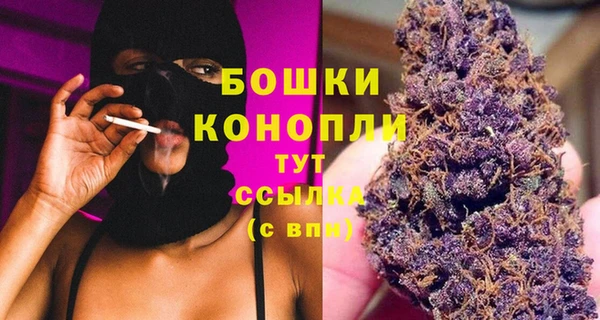 бошки Пересвет