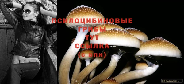 mdpv Переславль-Залесский