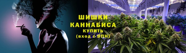 бошки Пересвет