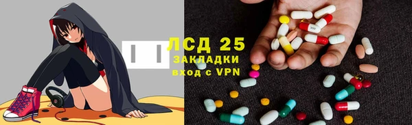 бошки Пересвет