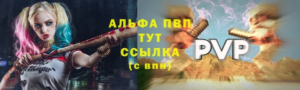 бошки Пересвет