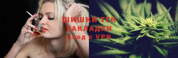 стаф Пестово