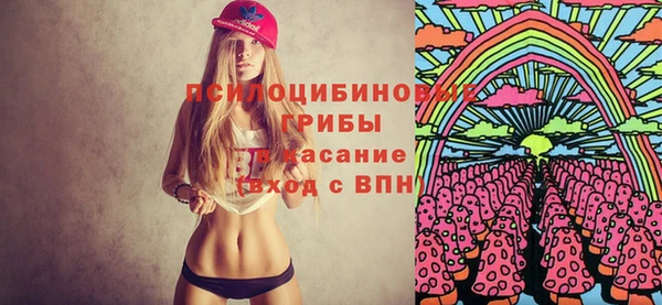 бошки Пересвет