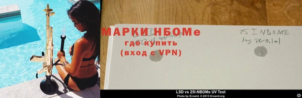 стаф Пестово