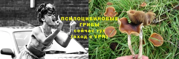 стаф Пестово